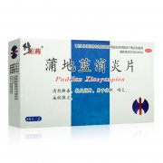 蒲地蓝消炎片